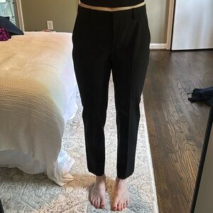 Theory treeca pant
